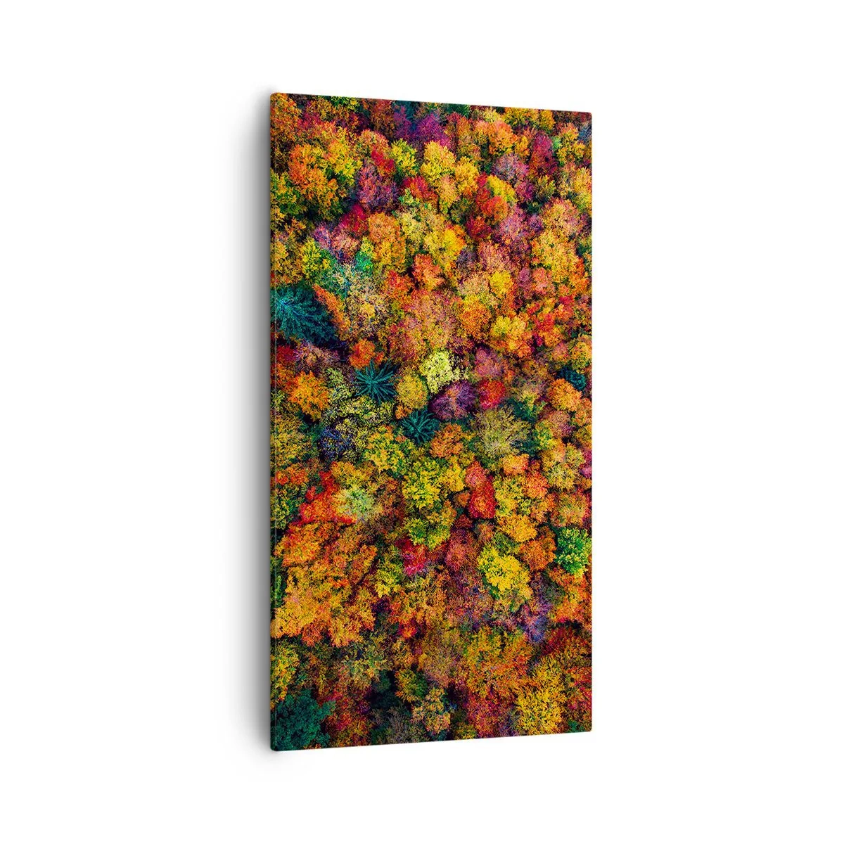 Obraz na płótnie - Bukiet jesiennych drzew - 55x100 cm