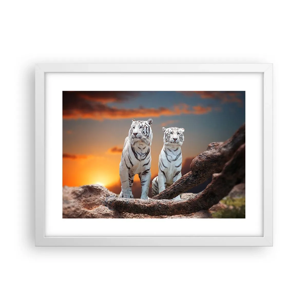 Plakat w białej ramie - Zupełnie jak w Narni - 40x30 cm