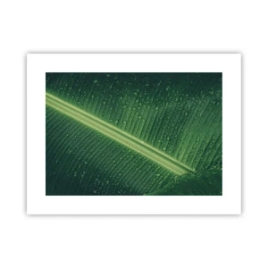 Plakat - Struktura zieleni - 40x30 cm