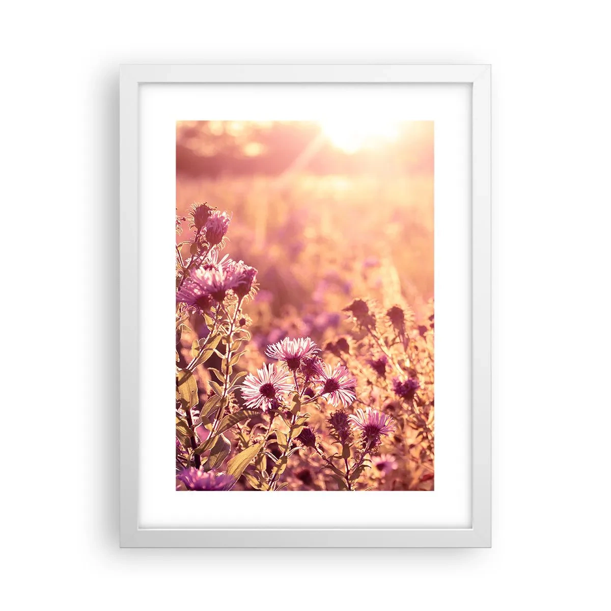 Plakat w białej ramie - Przed odejściem lata - 30x40 cm