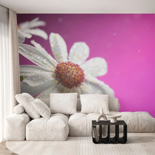Fototapeta Standard Eco - Skromny w swojej urodzie - Kwiat, Natura, Ogród - 200x140 cm