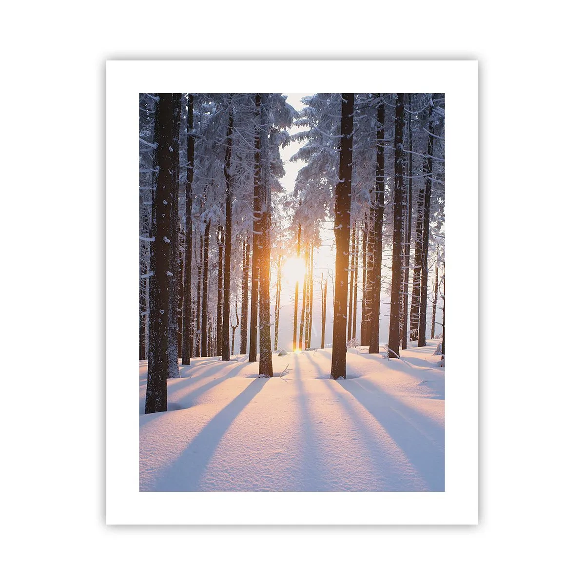 Plakat - Wyraźnie czarno na białym - 40x50 cm