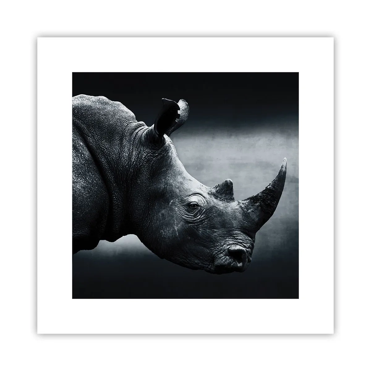 Plakat - Prawy profil - 30x30 cm