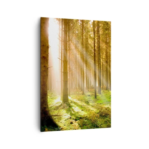 Obraz na płótnie - Las iglasty z promieniami słońca przebijającymi przez drzewa - 70x100cm - Zaraz pojawią się elfy - Nowoczesna dekoracja ścienna do salonu i sypialni ARTTOR