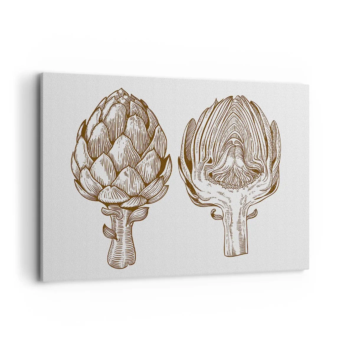 Obraz na płótnie - Rysunek artystyczny karczocha w stylu vintage - 100x70cm - Lekcja anatomii - Nowoczesna dekoracja ścienna do salonu, kuchni i sypialni ARTTOR