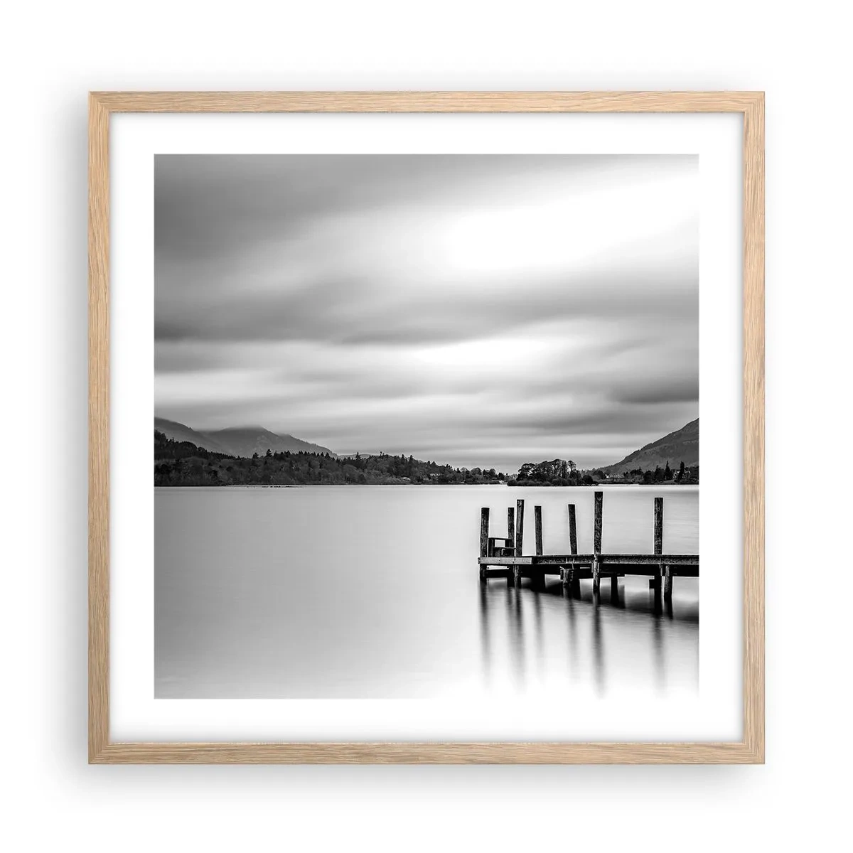 Plakat w ramie jasny dąb - Łagodność i siła - 50x50 cm