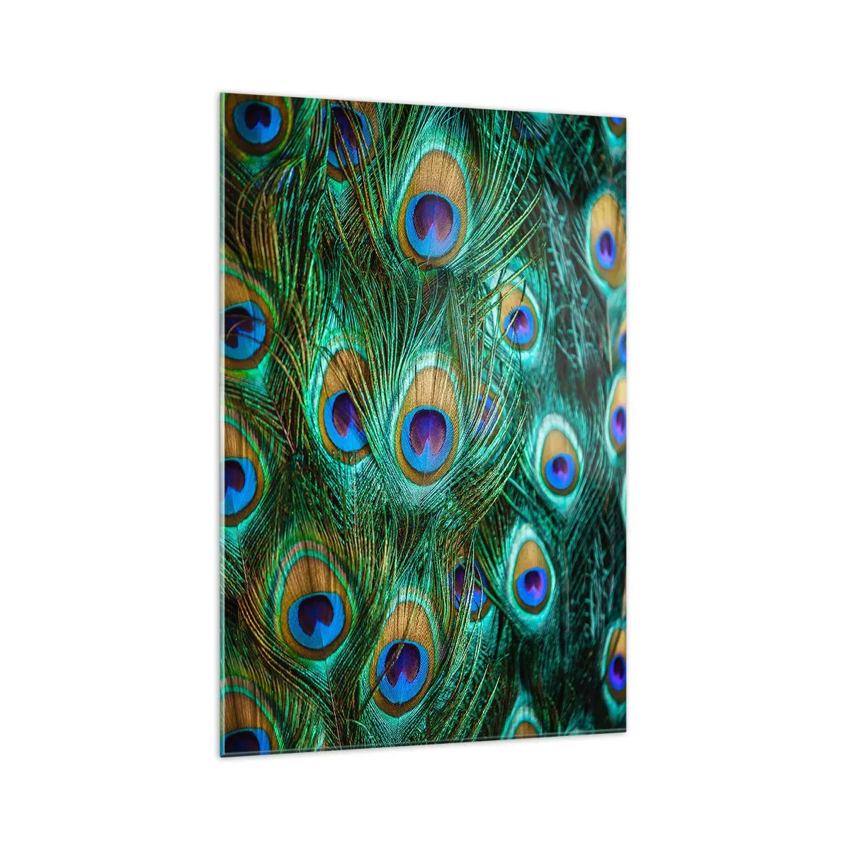 Obraz na szkle - Detale pawich piór w soczystych kolorach - 70x100cm - Pawiookie spojrzenie - Nowoczesna dekoracja ścienna do salonu i sypialni ARTTOR