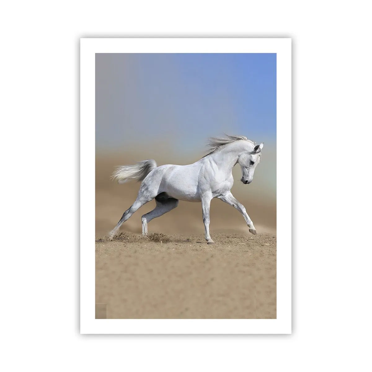 Plakat - Biały koń w galopie na pustynnym tle - 50x70cm - Najpiękniejsza arabska baśń - Nowoczesna dekoracja ścienna do salonu, kuchni i sypialni ARTTOR