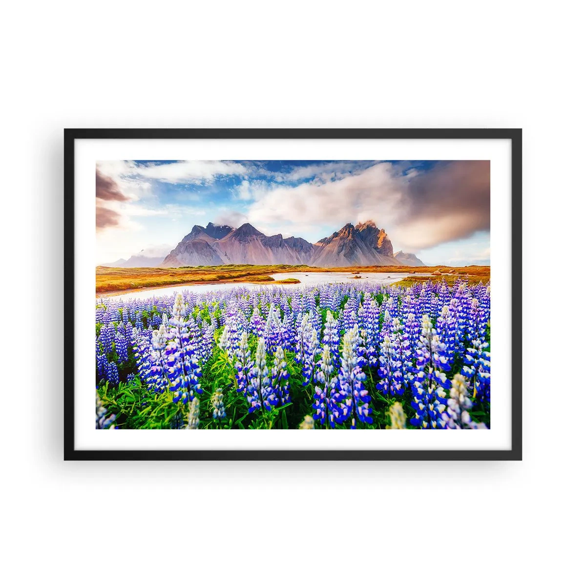 Plakat w czarnej ramie - Kwiaty w górskim krajobrazie z malowniczym niebem - 70x50cm - Siła i surowość obok łagodności - Nowoczesna dekoracja ścienna do salonu i sypialni ARTTOR