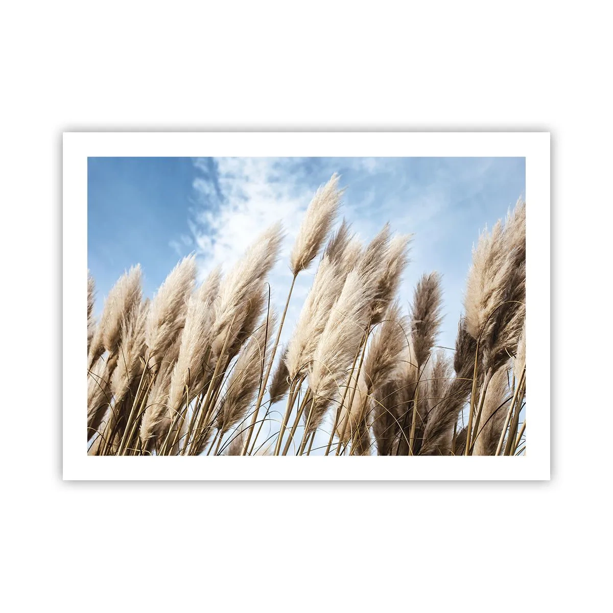 Plakat - Słoneczna i wietrzna pieszczota - 70x50 cm