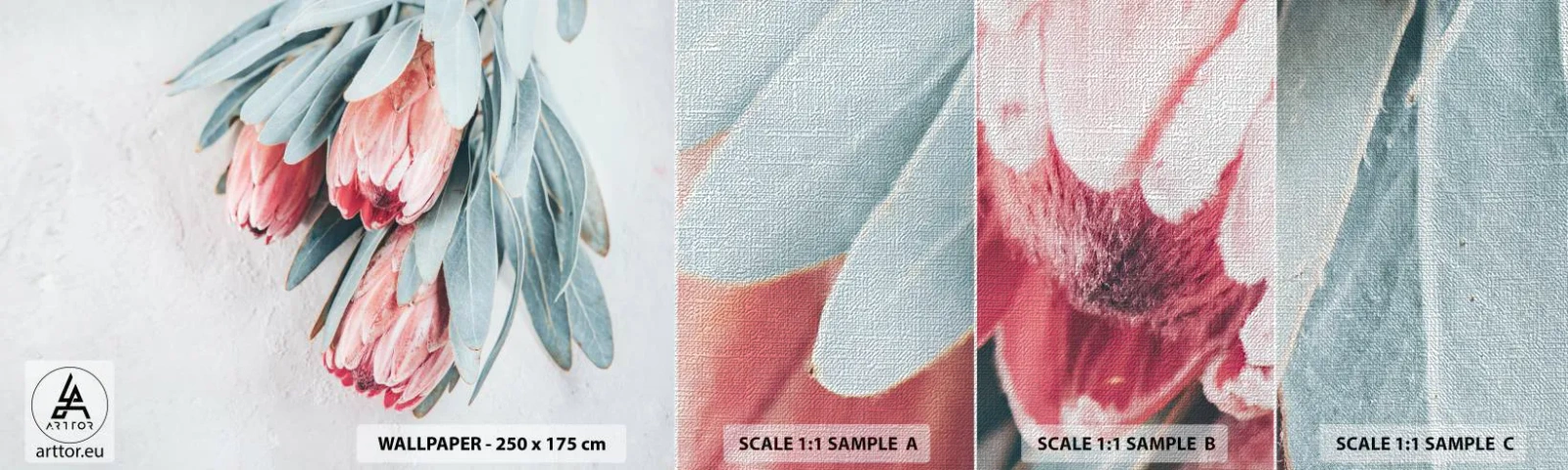 Fototapeta Próbka Premium Canvas - Zawstydzone własną urodą - Kwiat, Protea Królewska, Afryka - 100x30 cm