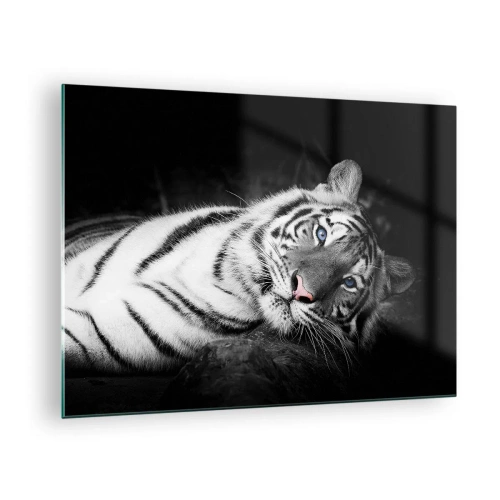 Obraz na szkle - Biały tygrys z niebieskimi oczami w czarno-białej scenerii - 70x50cm - Dzikość i spokój - Nowoczesna dekoracja ścienna do salonu i sypialni ARTTOR