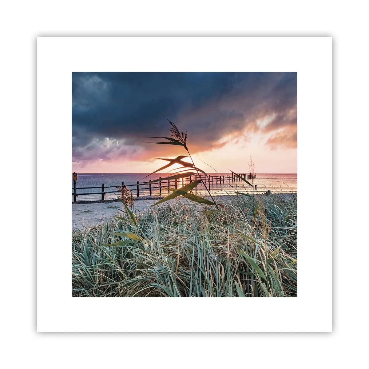 Plakat - Nie przemija z wiatrem - 30x30 cm