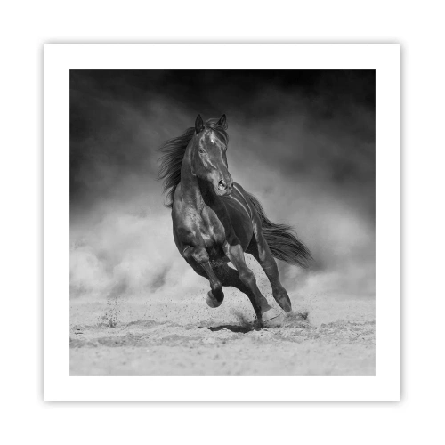 Plakat - Godny samego emira - 50x50 cm