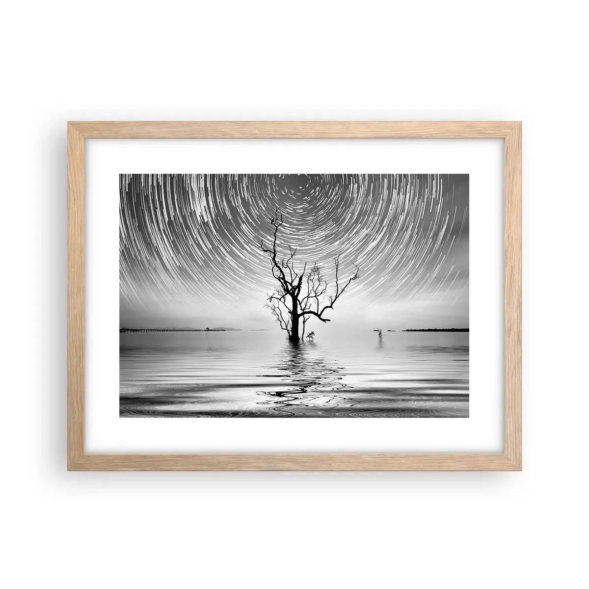 Plakat w ramie jasny dąb - Symfonia natury - 40x30 cm