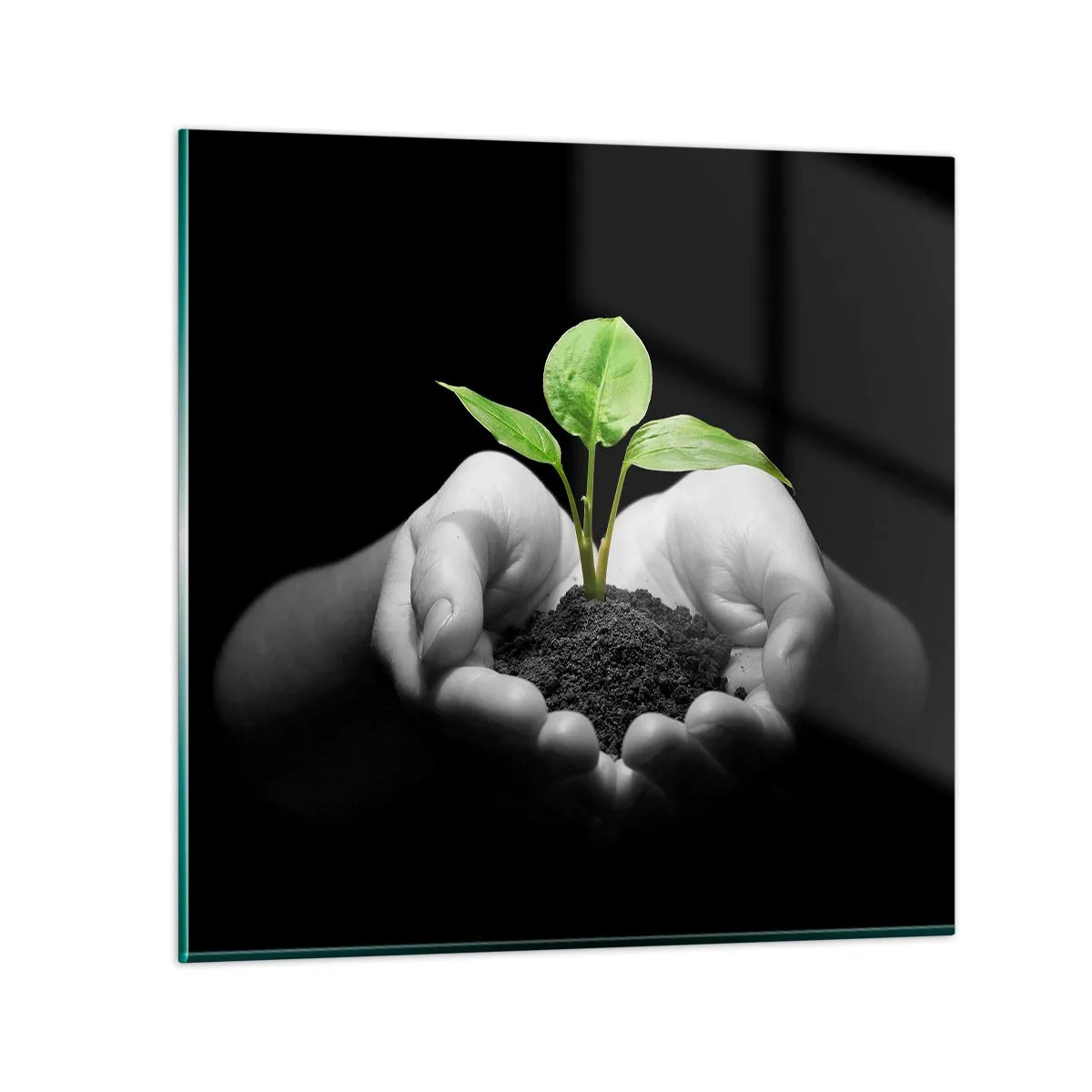 Obraz na szkle - Kocham naturę, chronię ją - 60x60 cm