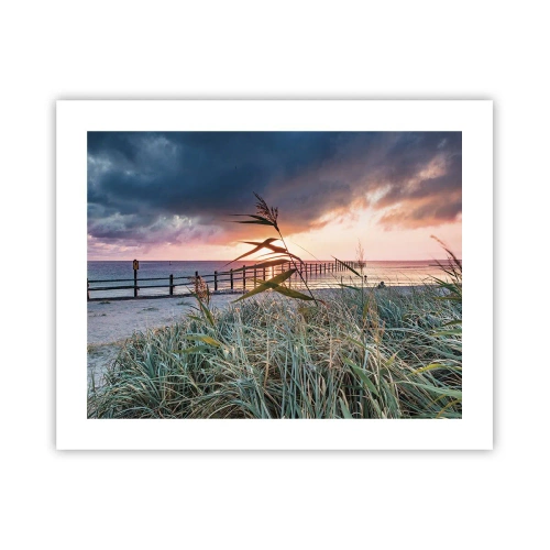 Plakat - Nie przemija z wiatrem - 50x40 cm