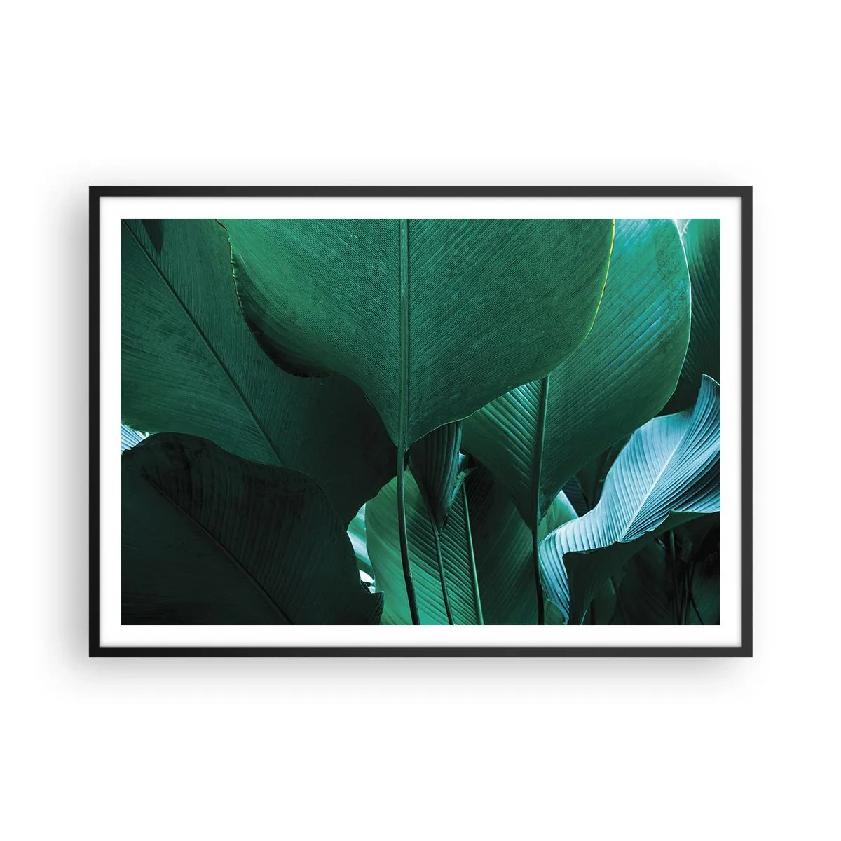 Plakat w czarnej ramie - Zielone liście w minimalistycznej kompozycji - 100x70cm - Zwrócone do światła - Nowoczesna dekoracja ścienna do salonu i sypialni ARTTOR