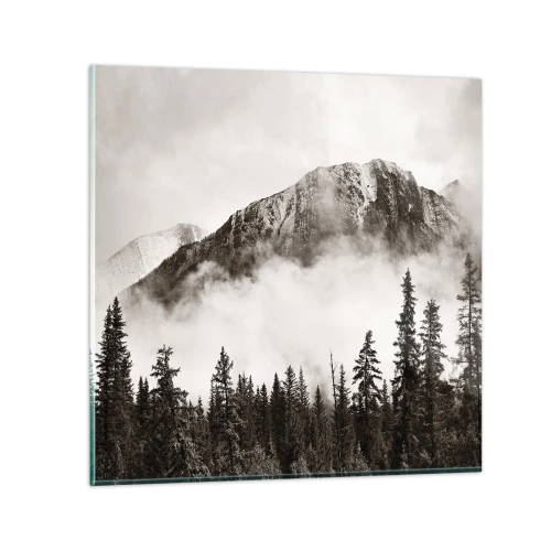 Obraz na szkle - Granitowy władca - 70x70 cm