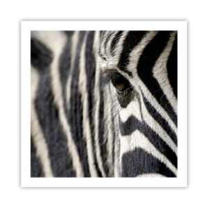 Plakat - Portret w paski - 60x60 cm