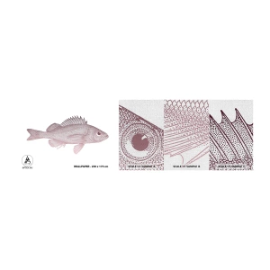 Fototapeta Próbka Premium Canvas - Ryba wielkooka - Ryba, Podwodny, Minimalistyczny - 100x30 cm