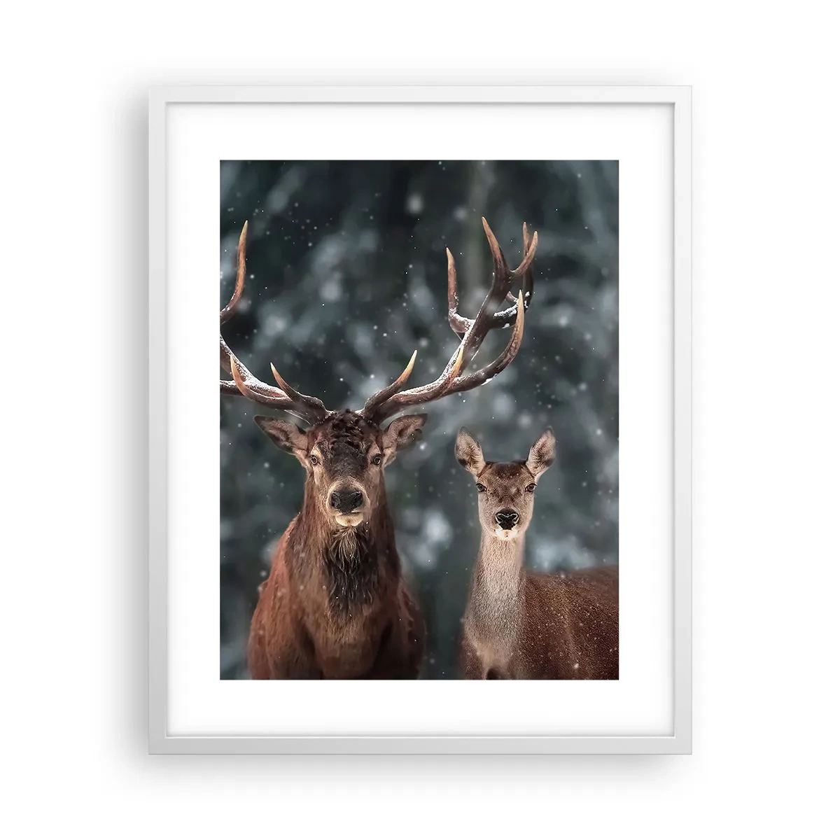 Plakat w białej ramie - Pan lasu z małżonką - 40x50 cm