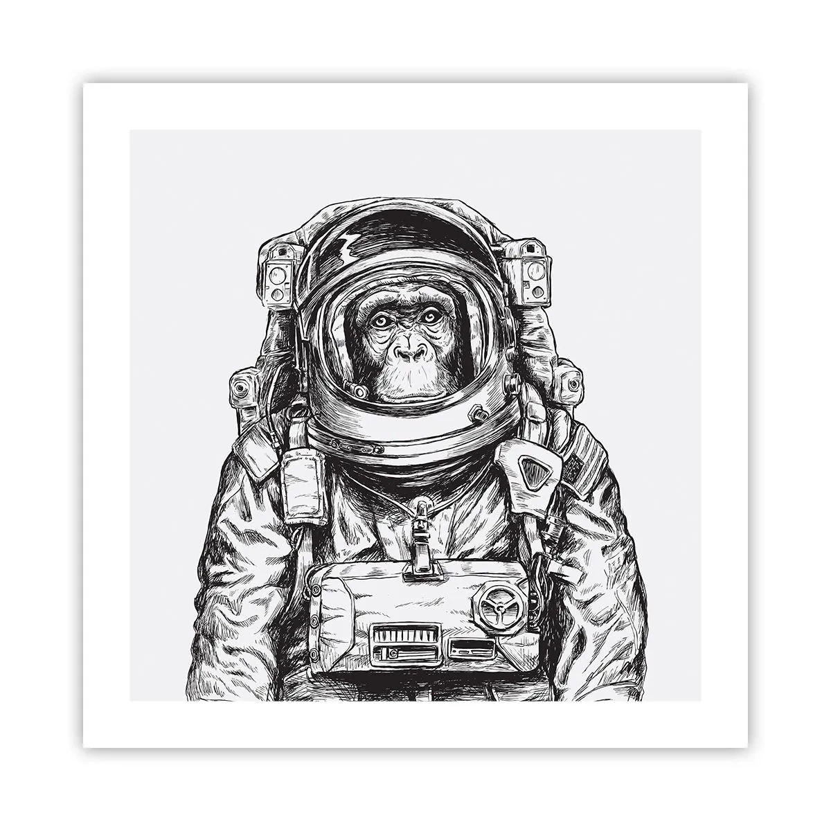 Plakat - Alternatywna ewolucja - 50x50 cm