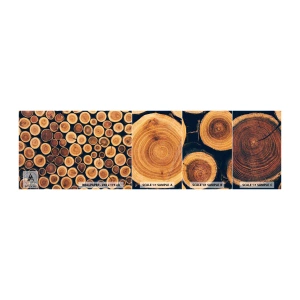 Fototapeta Próbka Samoprzylepna Deluxe Sticker - Na ile lat wyglądam? - Pień Drzewa, Las, Sztuka - 100x30 cm