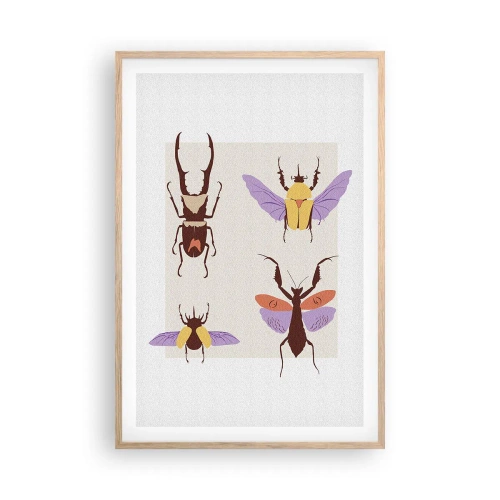 Plakat w ramie jasny dąb - Owadzi świat - 61x91 cm