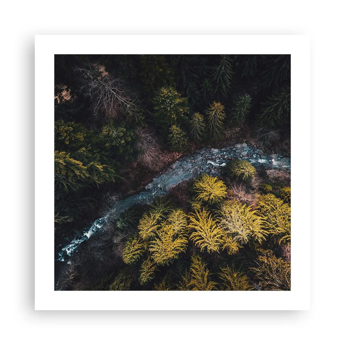 Plakat - Szybko, coraz szybciej - 50x50 cm