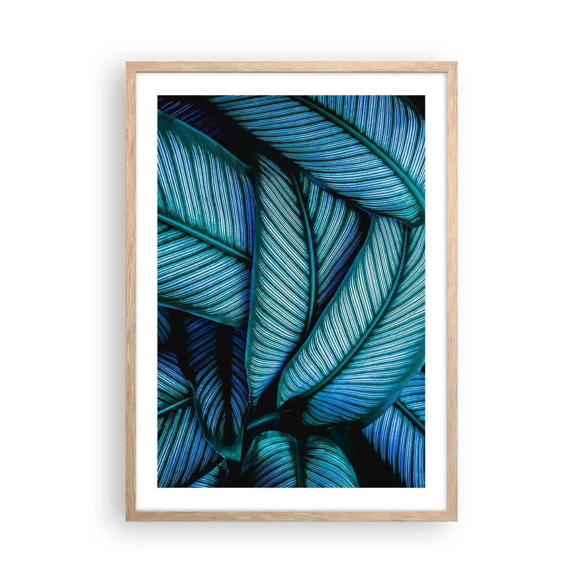 Plakat w ramie jasny dąb - Linie życia - 50x70 cm