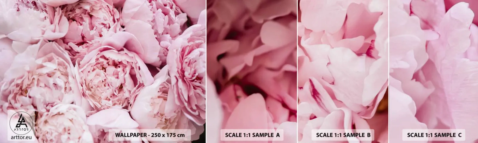 Fototapeta Próbka Samoprzylepna Deluxe Sticker - Przytulone i pachnące - Piwonia, Kwiaty, Bukiet Kwiatów - 100x30 cm