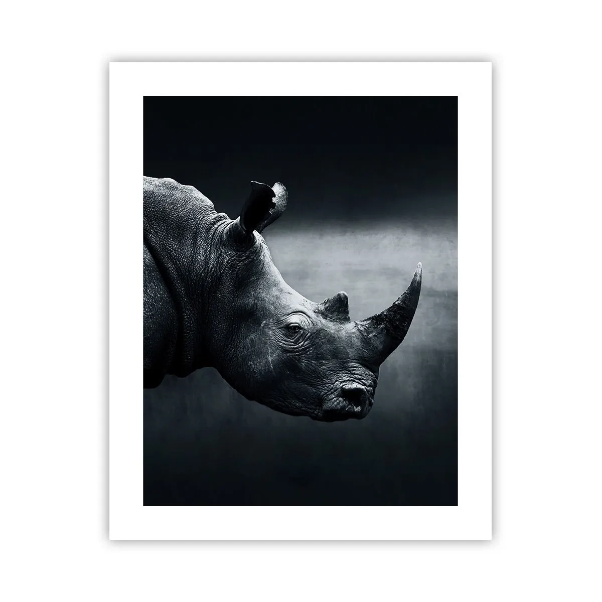 Plakat - Prawy profil - 40x50 cm