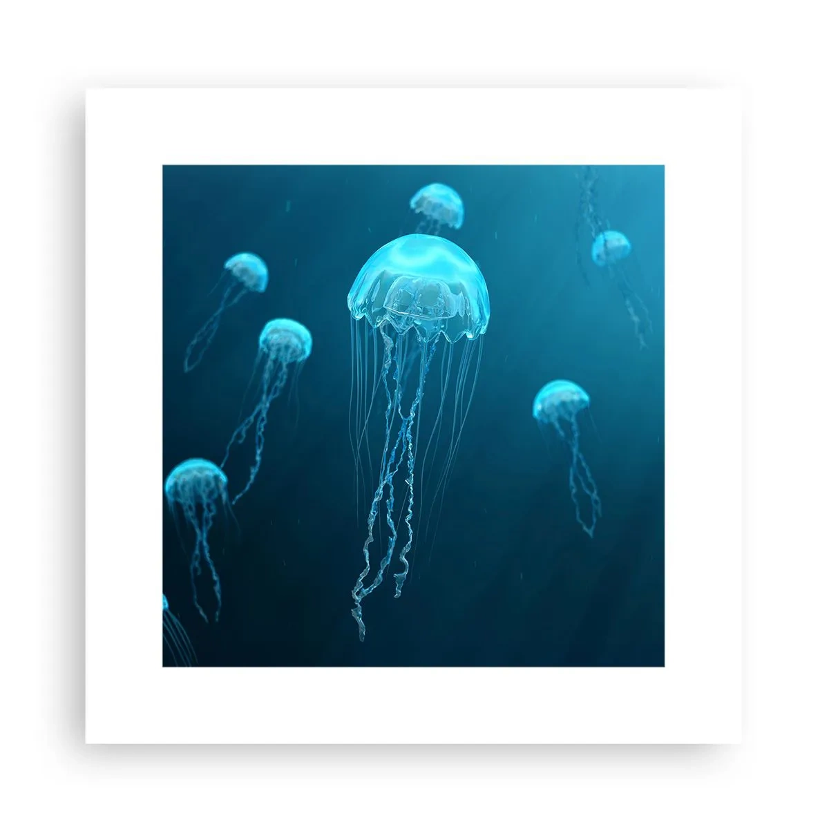 Plakat - Oceaniczny taniec - 30x30 cm