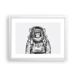 Plakat w białej ramie - Alternatywna ewolucja - 40x30 cm