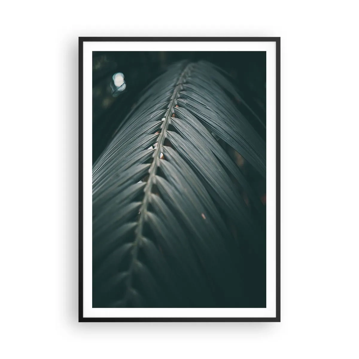 Plakat w czarnej ramie - Precyzja natury - 70x100 cm