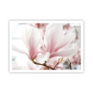 Plakat - Delikatne kwiaty magnolii w pastelowych odcieniach - 100x70cm - Bezmiar czułości - Nowoczesna dekoracja ścienna do salonu i sypialni ARTTOR