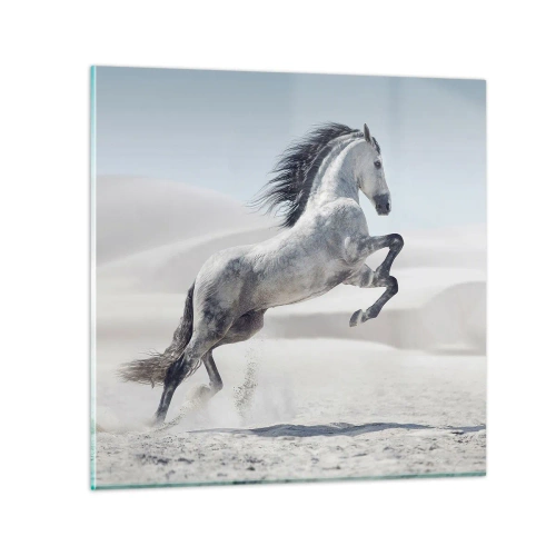 Obraz na szkle - Arabski książę - 60x60 cm