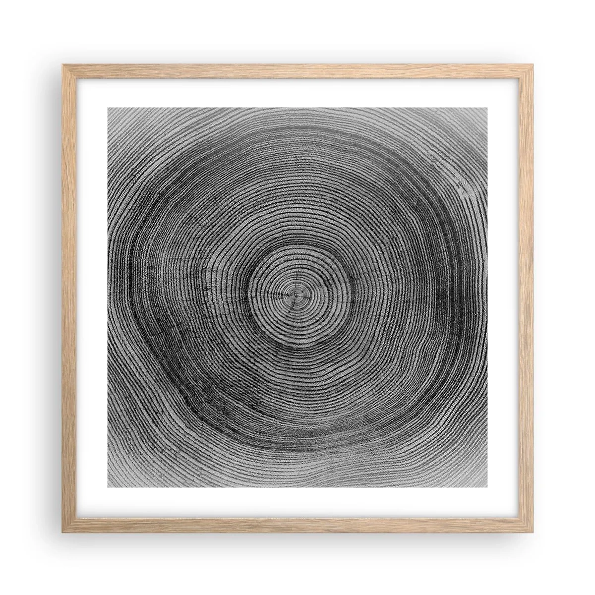 Plakat w ramie jasny dąb - Znak czasu - 50x50 cm