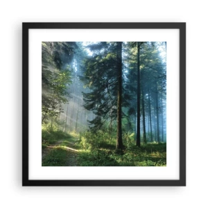 Plakat w czarnej ramie - Rozpromieniony o poranku - 40x40 cm