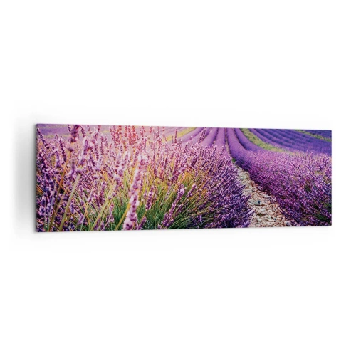 Obraz na płótnie - Pole lawendy o zachodzie słońca - 160x50cm - Pachnący łan - Nowoczesna dekoracja ścienna do salonu i sypialni ARTTOR