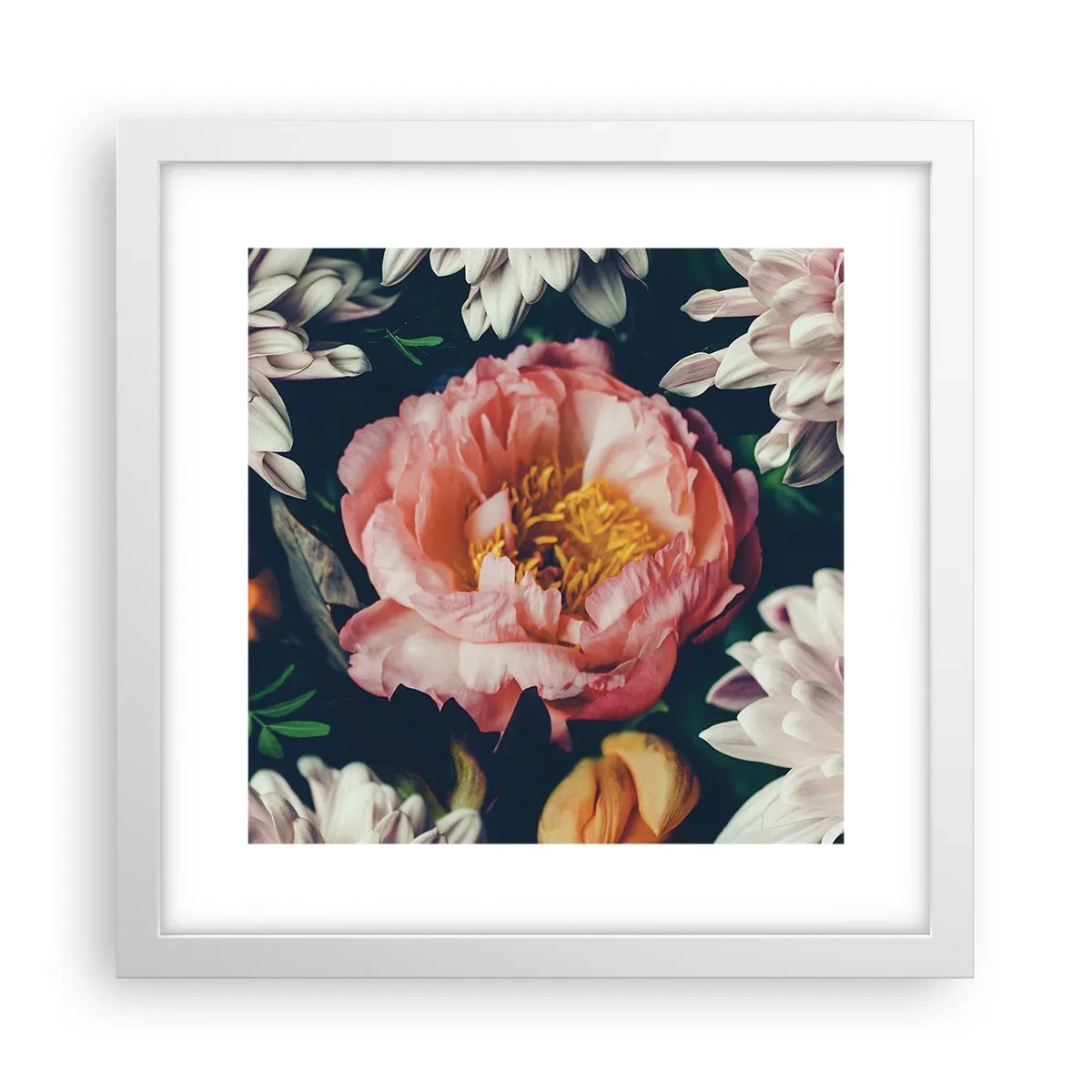 Plakat w białej ramie - Z barokowym przepychem - 30x30 cm