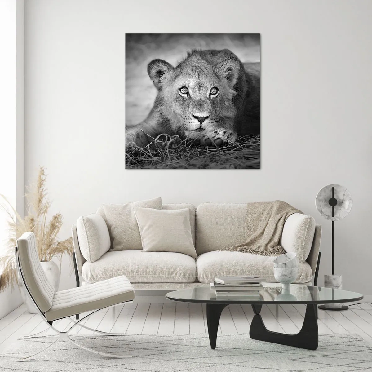 Obraz na szkle - Królewskie szczenię - 40x40 cm