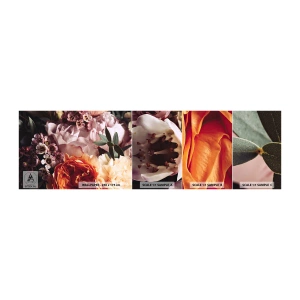 Fototapeta Próbka Samoprzylepna Deluxe Sticker - Otulone pięknem - Kwiaty, Bukiet Kwiatów, Róża - 100x30 cm