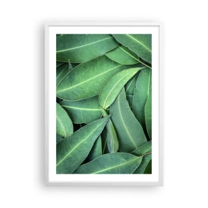 Plakat w białej ramie - Soczyste i świeże - 50x70 cm