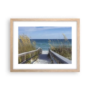 Plakat w ramie jasny dąb - W słońcu, na wietrze - 40x30 cm