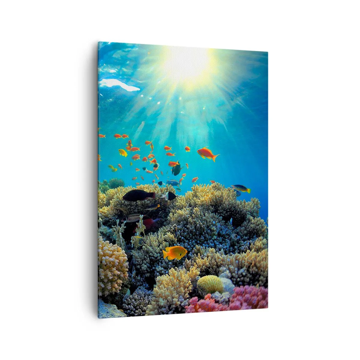 Obraz na płótnie - Rafa koralowa z rybami w promieniach słońca pod wodą - 70x100cm - Podwodne skarby - Nowoczesna dekoracja ścienna do salonu i sypialni ARTTOR