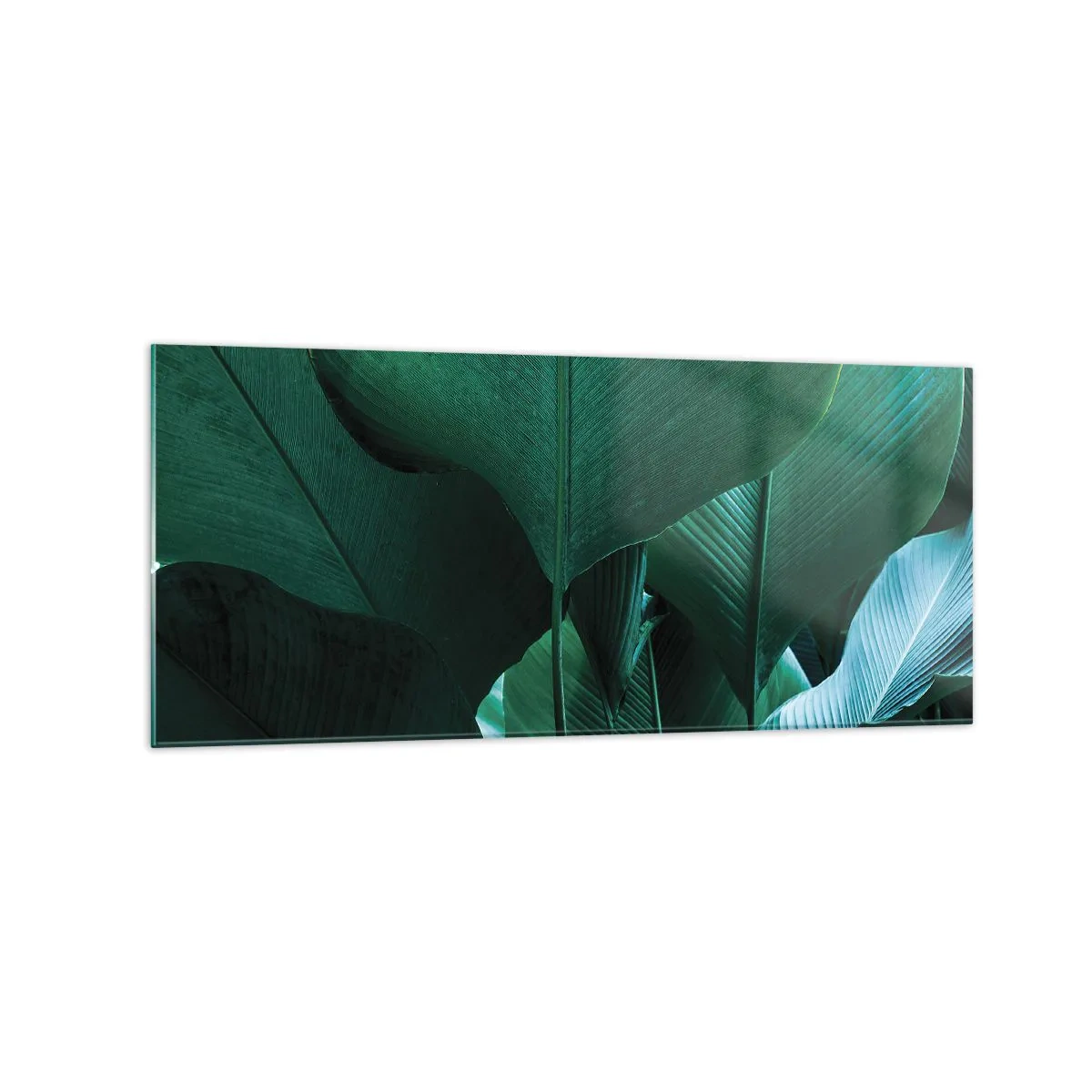 Obraz na szkle - Zielone liście w minimalistycznej kompozycji - 120x50cm - Zwrócone do światła - Nowoczesna dekoracja ścienna do salonu i sypialni ARTTOR