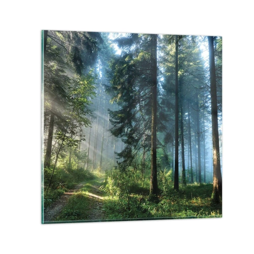 Obraz na szkle - Rozpromieniony o poranku - 30x30 cm