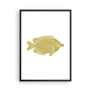 Plakat w czarnej ramie - Złota ryba w stylu vintage na białym tle - 50x70cm - Ryba i tyle - Nowoczesna dekoracja ścienna do salonu i sypialni ARTTOR